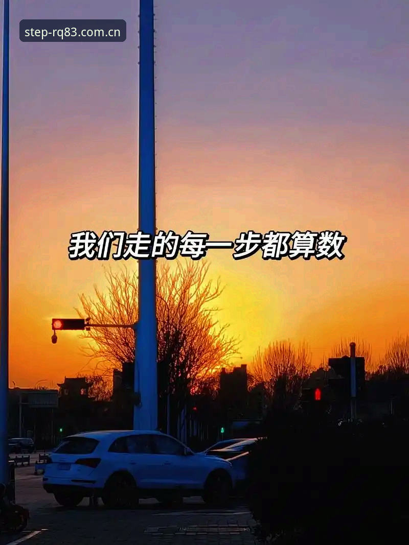 每一步都在认真CN安卓登录 7个